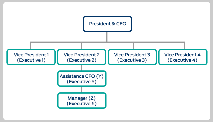 Executive Structure